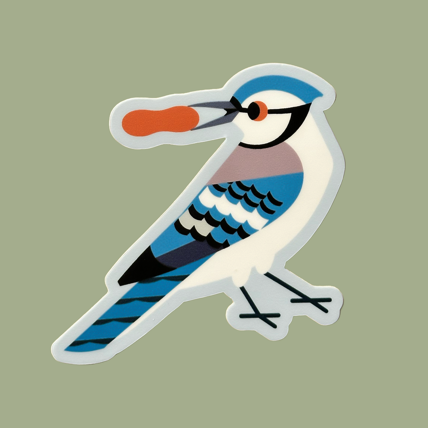 Blue Jay Sticker
