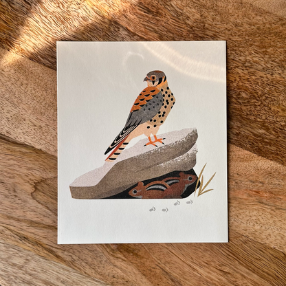 American Kestrel Risograph Print