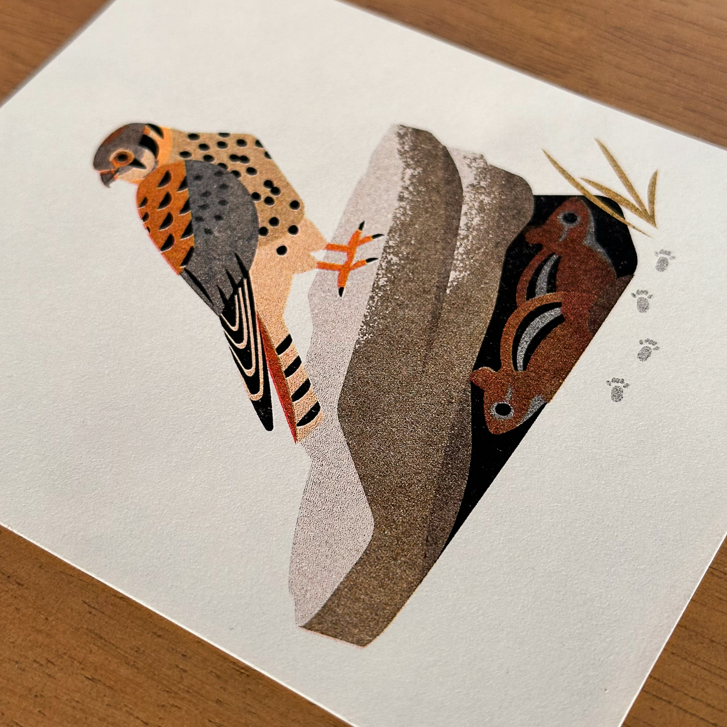 American Kestrel Risograph Print
