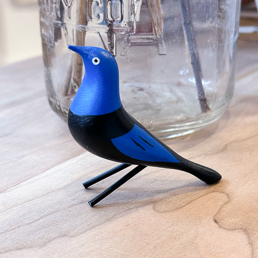 True Blue Grackle