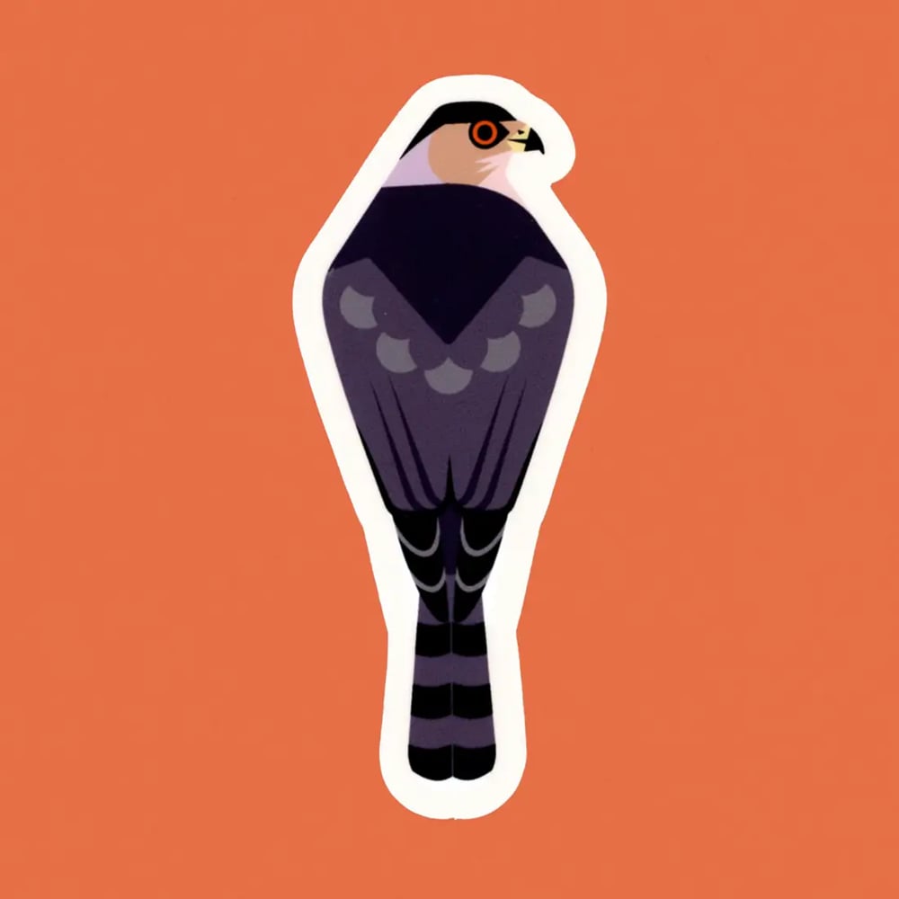 Stickers – Pigeon Post