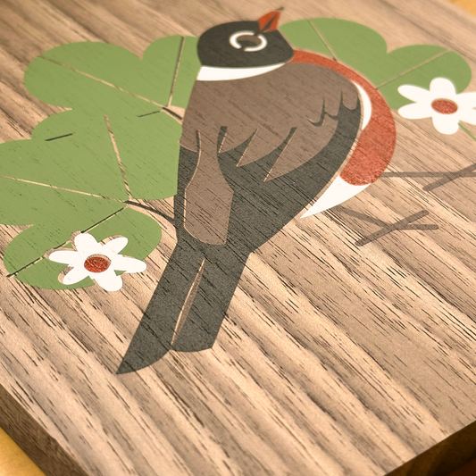 Springtime Robin on Walnut Board