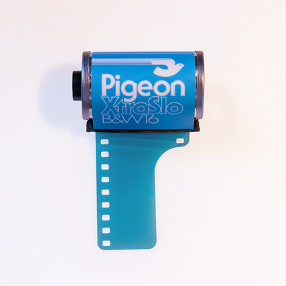 Pigeon XtraSlo B&W16